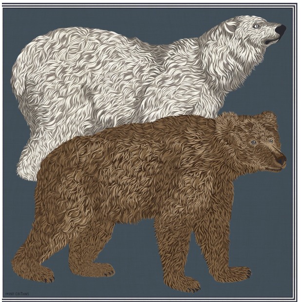 Inoui Editions vilnos skara OURS BLUE